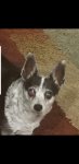 Screenshot_20190210-172330_Photos.jpg