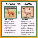 FB_IMG_1580306116306.jpg