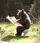 bearwoods.jpg