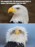 1743224349902.jpeg