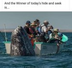 514264561_24276101365341480_685759081354911243_n.jpg hidnseek.jpg