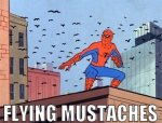 spiderman4242.jpg