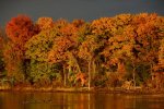 Lake Champlain.jpg
