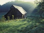 tennessee-scenery-4850.jpg