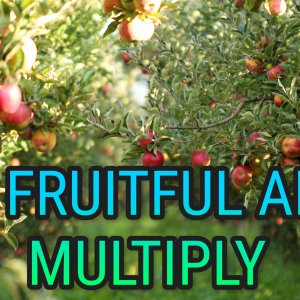 apple-trees (1).jpg